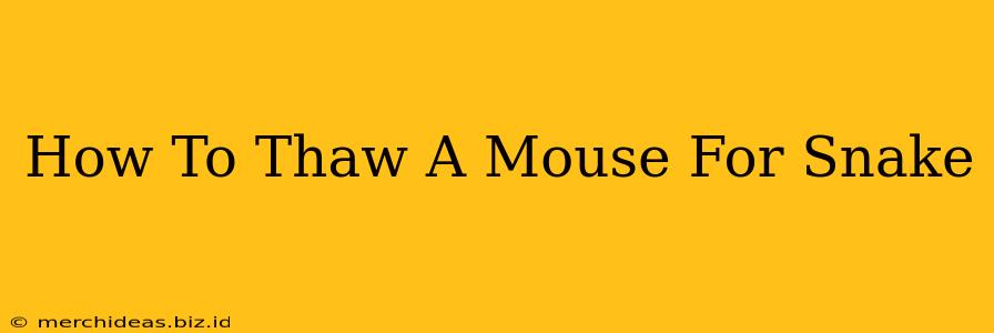 How To Thaw A Mouse For Snake
