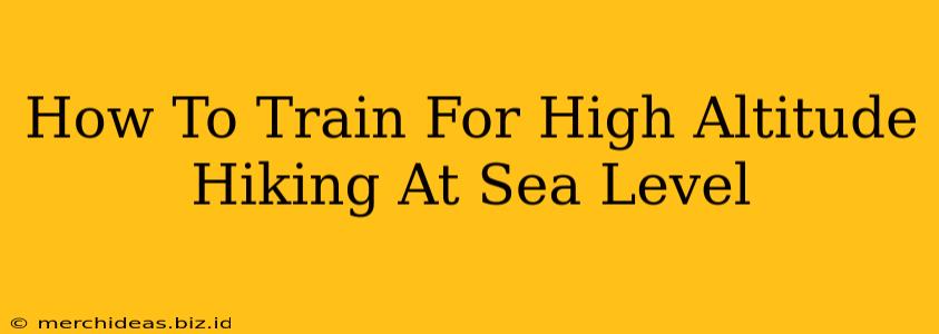 How To Train For High Altitude Hiking At Sea Level