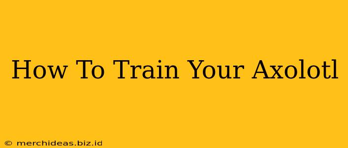 How To Train Your Axolotl