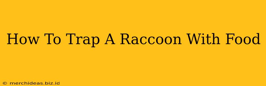 How To Trap A Raccoon With Food