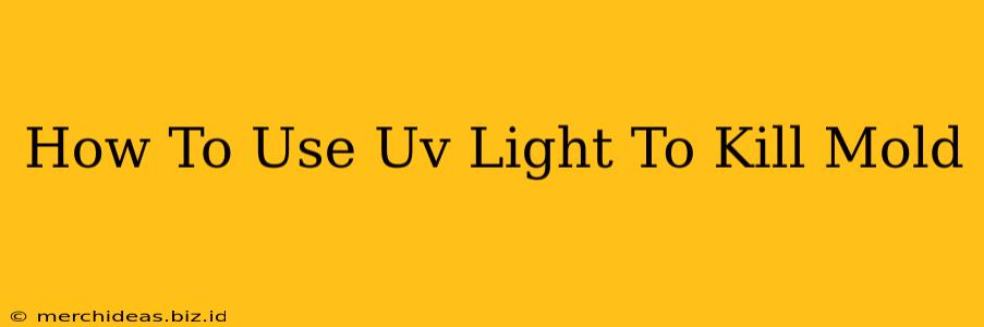 How To Use Uv Light To Kill Mold