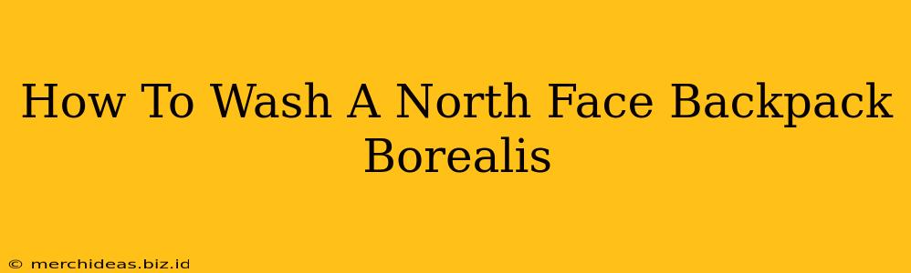 How To Wash A North Face Backpack Borealis
