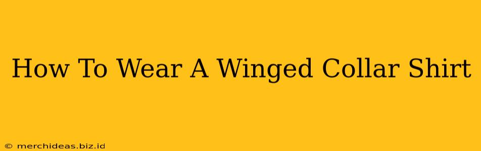 How To Wear A Winged Collar Shirt