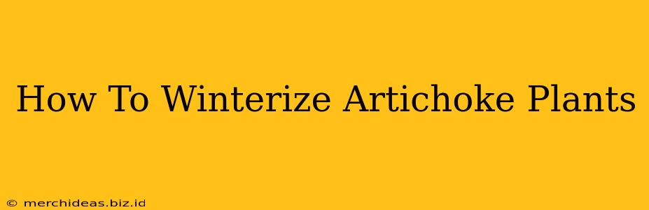 How To Winterize Artichoke Plants