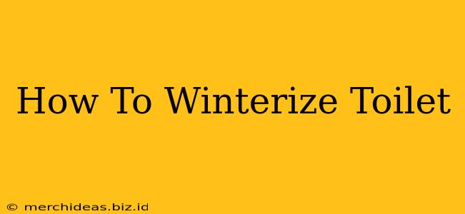 How To Winterize Toilet
