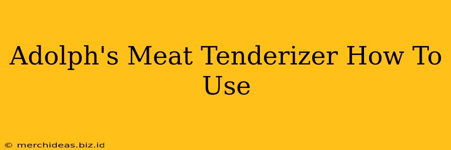 Adolph's Meat Tenderizer How To Use