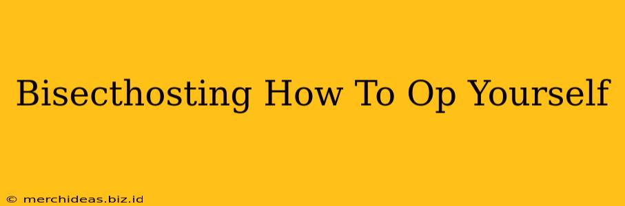 Bisecthosting How To Op Yourself