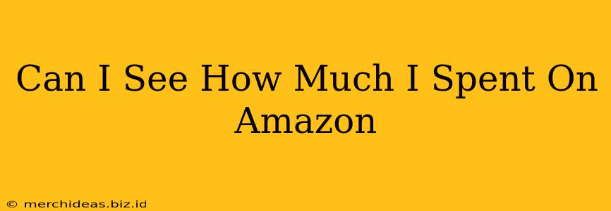 Can I See How Much I Spent On Amazon