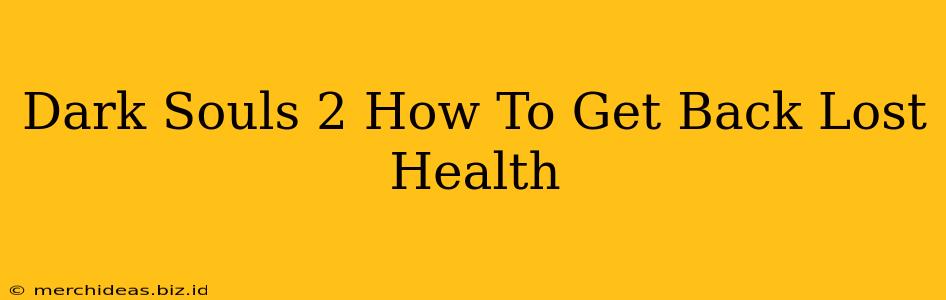 Dark Souls 2 How To Get Back Lost Health