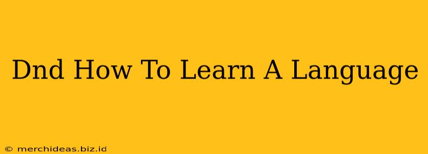 Dnd How To Learn A Language