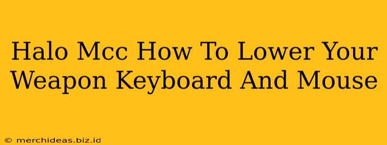 Halo Mcc How To Lower Your Weapon Keyboard And Mouse