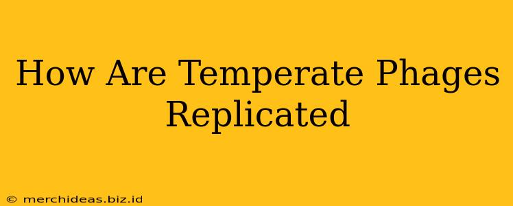 How Are Temperate Phages Replicated