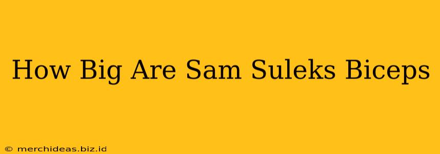 How Big Are Sam Suleks Biceps
