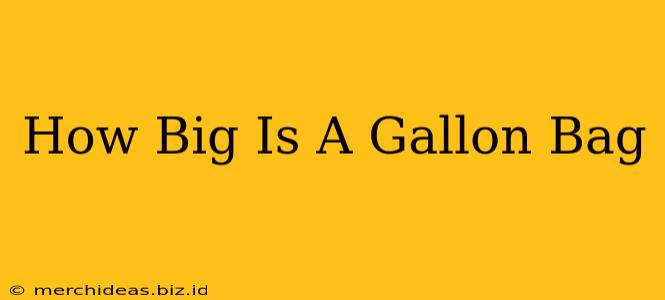 How Big Is A Gallon Bag