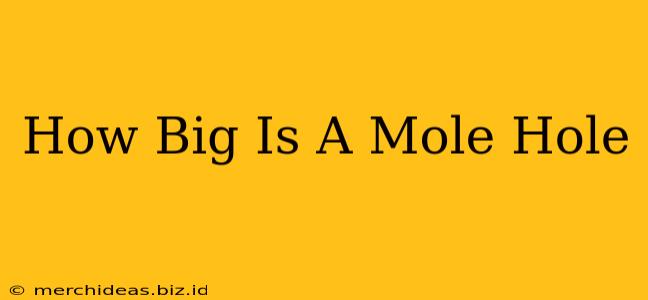 How Big Is A Mole Hole