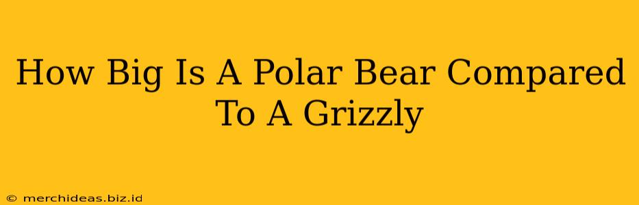 How Big Is A Polar Bear Compared To A Grizzly
