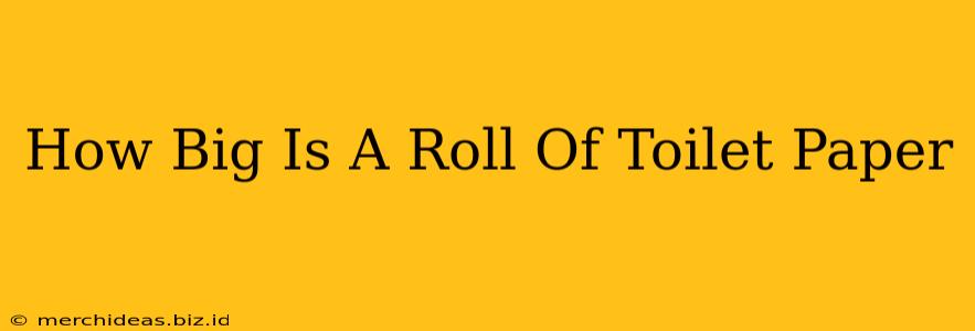 How Big Is A Roll Of Toilet Paper