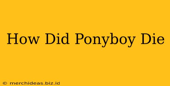 How Did Ponyboy Die