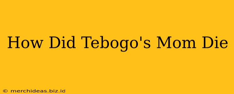 How Did Tebogo's Mom Die
