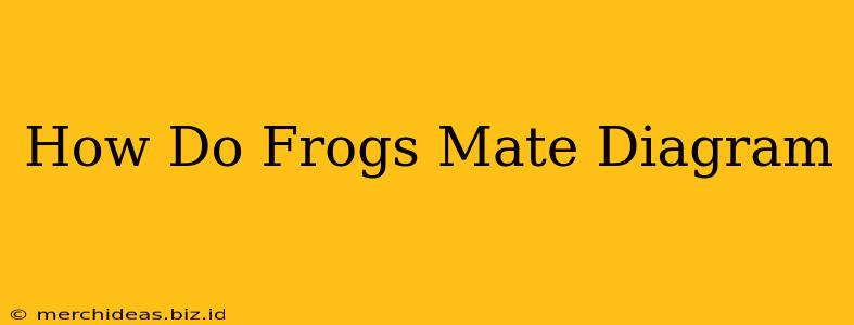 How Do Frogs Mate Diagram