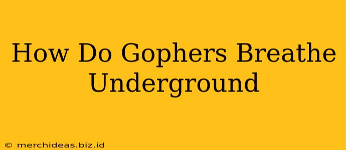 How Do Gophers Breathe Underground
