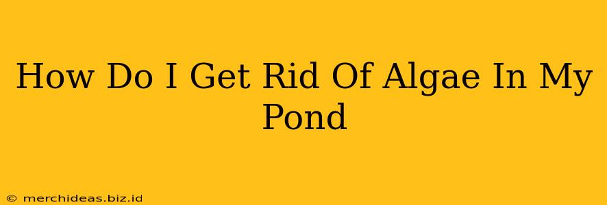 How Do I Get Rid Of Algae In My Pond