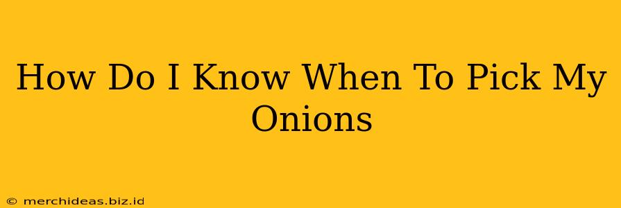 How Do I Know When To Pick My Onions