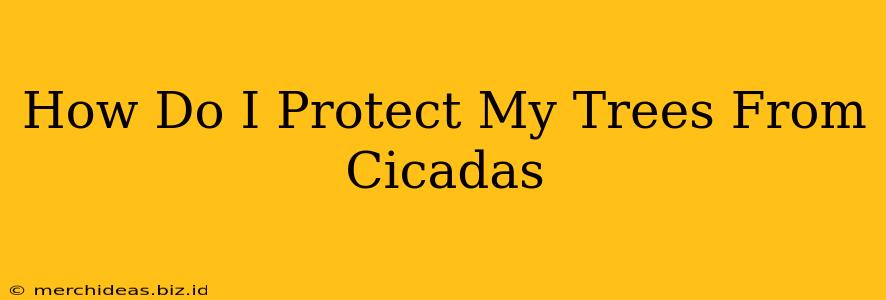 How Do I Protect My Trees From Cicadas