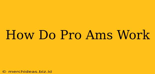 How Do Pro Ams Work