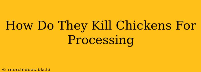 How Do They Kill Chickens For Processing