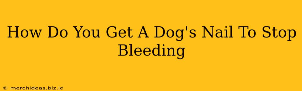 How Do You Get A Dog's Nail To Stop Bleeding