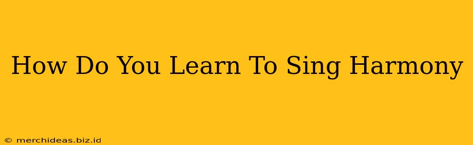 How Do You Learn To Sing Harmony