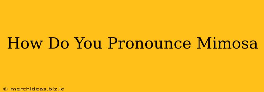 How Do You Pronounce Mimosa