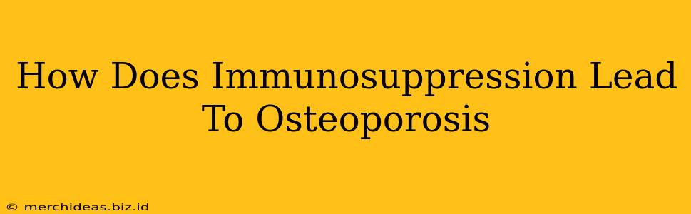 How Does Immunosuppression Lead To Osteoporosis