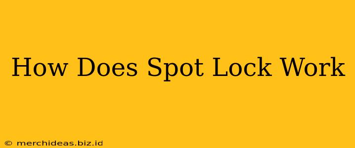 How Does Spot Lock Work