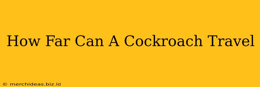 How Far Can A Cockroach Travel