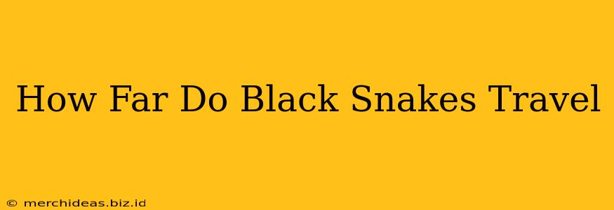 How Far Do Black Snakes Travel