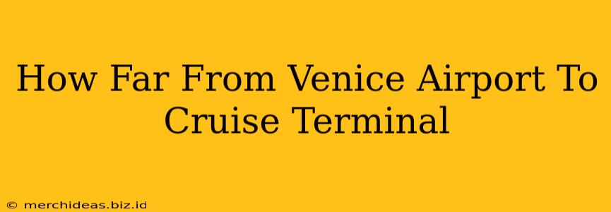 How Far From Venice Airport To Cruise Terminal