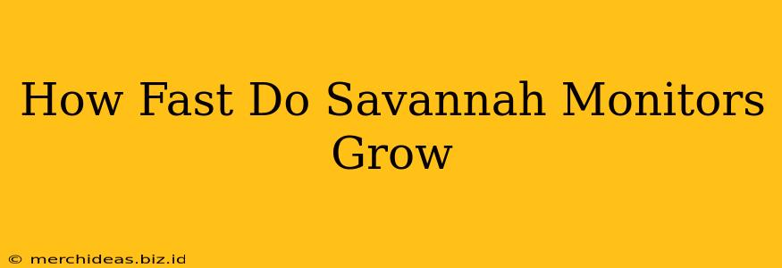 How Fast Do Savannah Monitors Grow