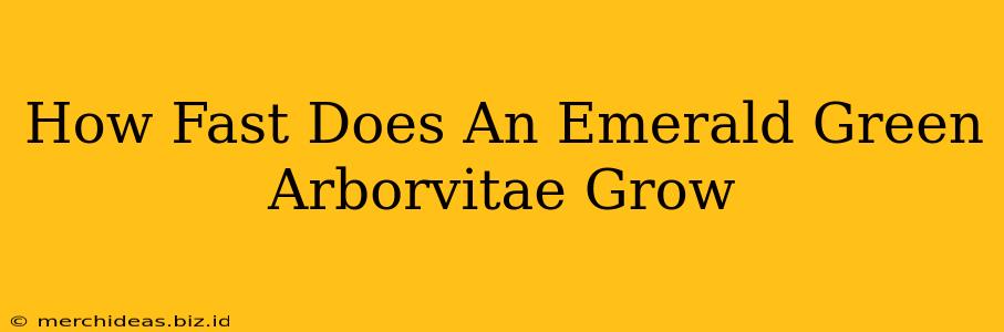 How Fast Does An Emerald Green Arborvitae Grow