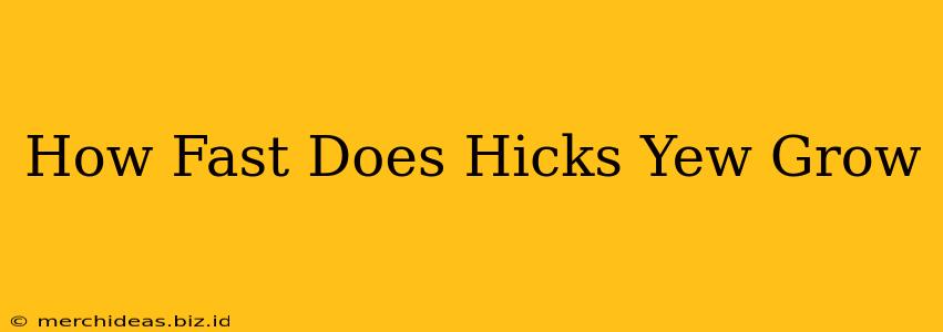 How Fast Does Hicks Yew Grow