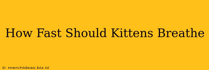 How Fast Should Kittens Breathe