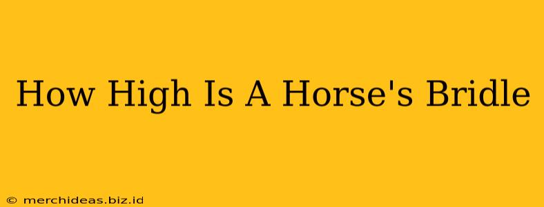 How High Is A Horse's Bridle