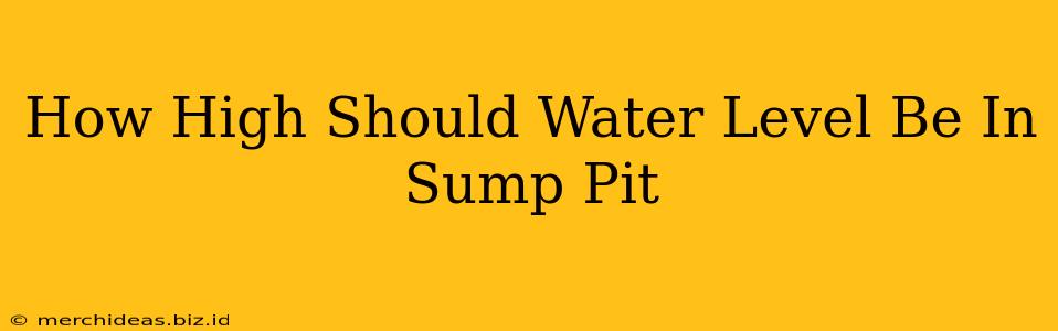 How High Should Water Level Be In Sump Pit