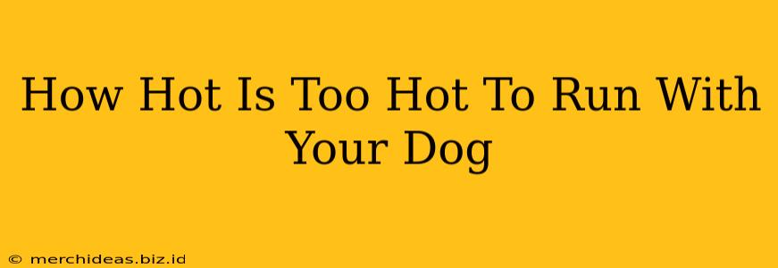 How Hot Is Too Hot To Run With Your Dog