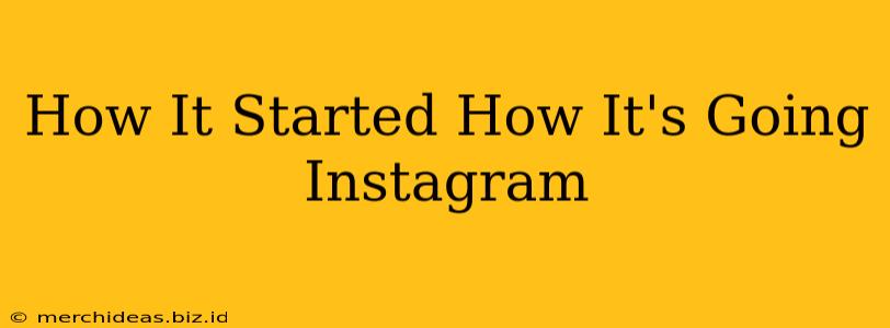 How It Started How It's Going Instagram