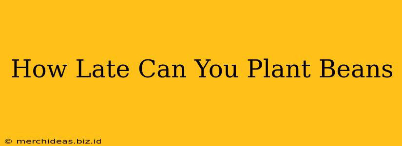 How Late Can You Plant Beans