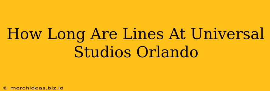 How Long Are Lines At Universal Studios Orlando