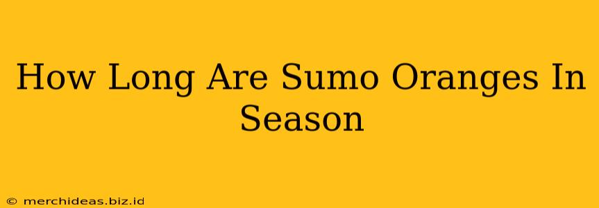 How Long Are Sumo Oranges In Season