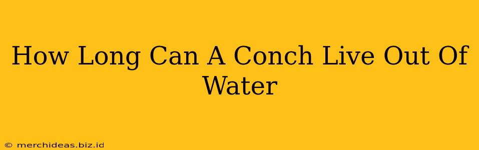 How Long Can A Conch Live Out Of Water